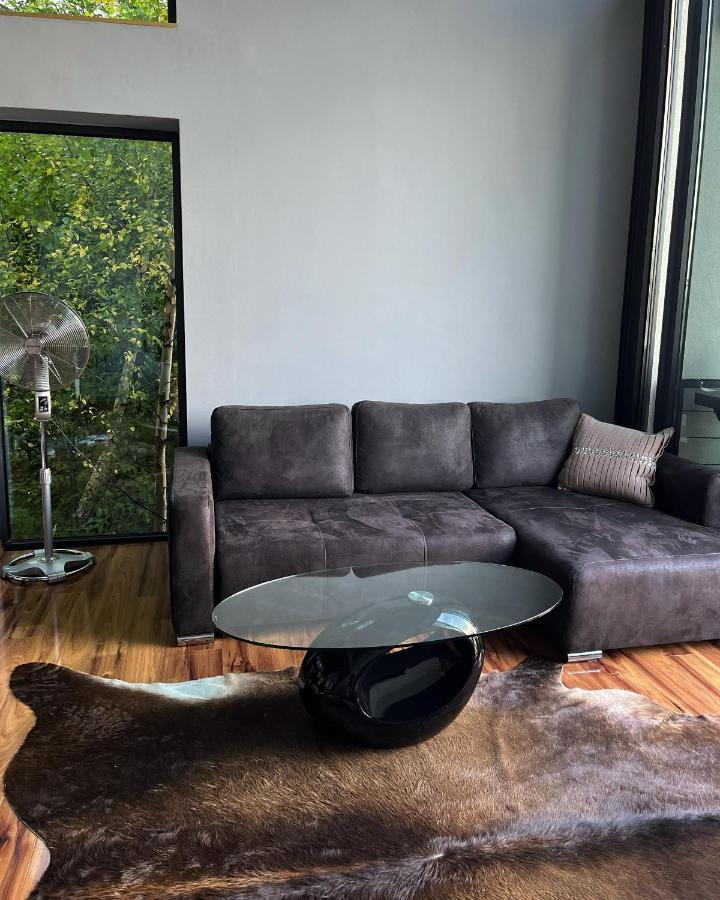 Willa Znamirowice Apartment *